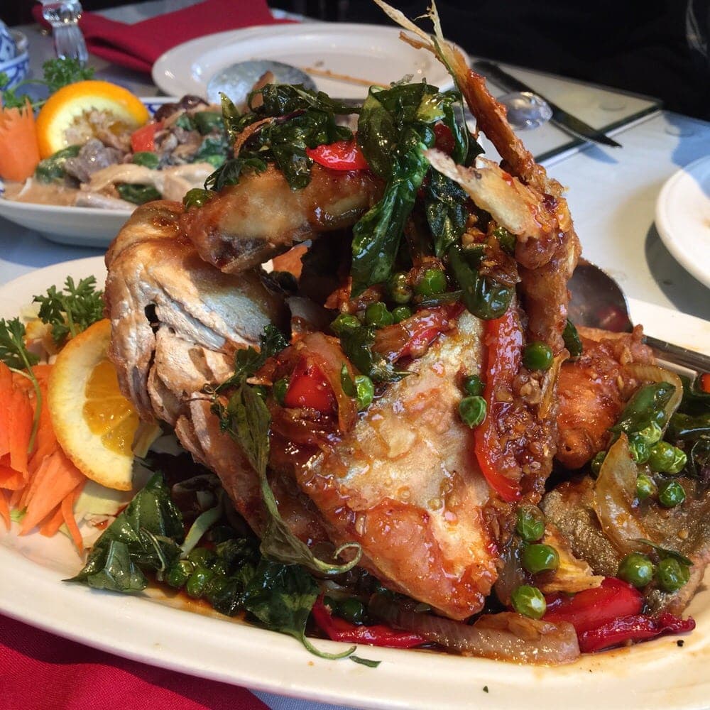 Pampano fish